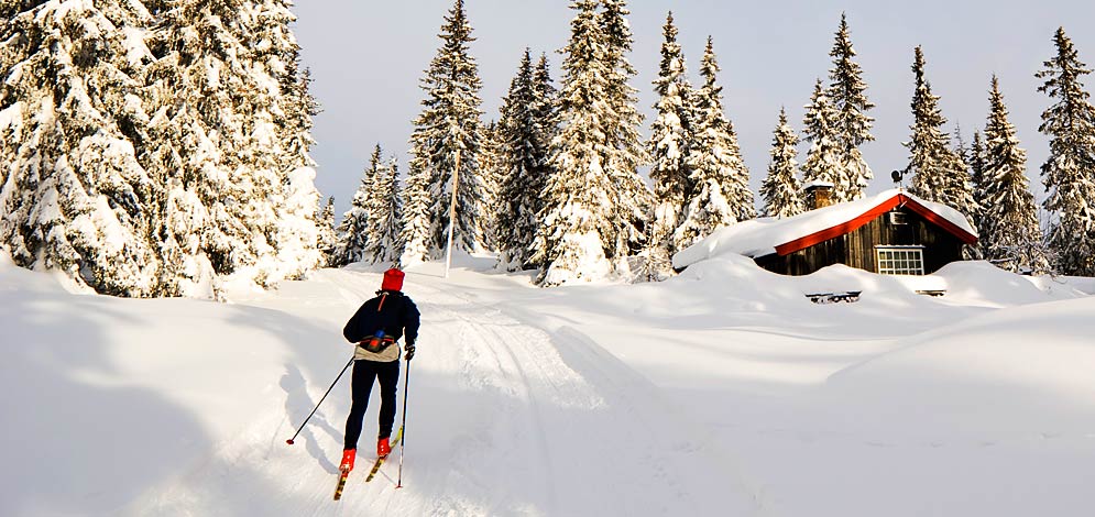 Langlaufen Winter Salten Jenesien Bozen Winterurlaub 