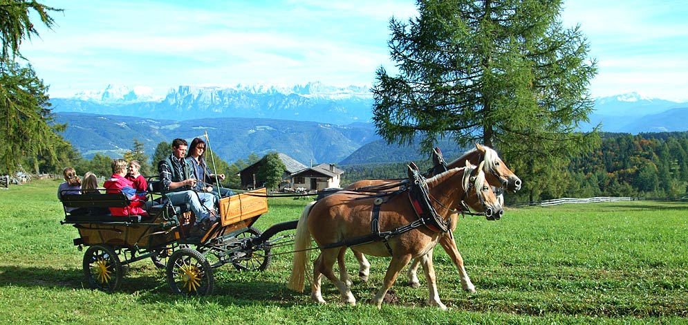gite in carrozza Dolomiti cavalli San Genesio Salto Bolzano
