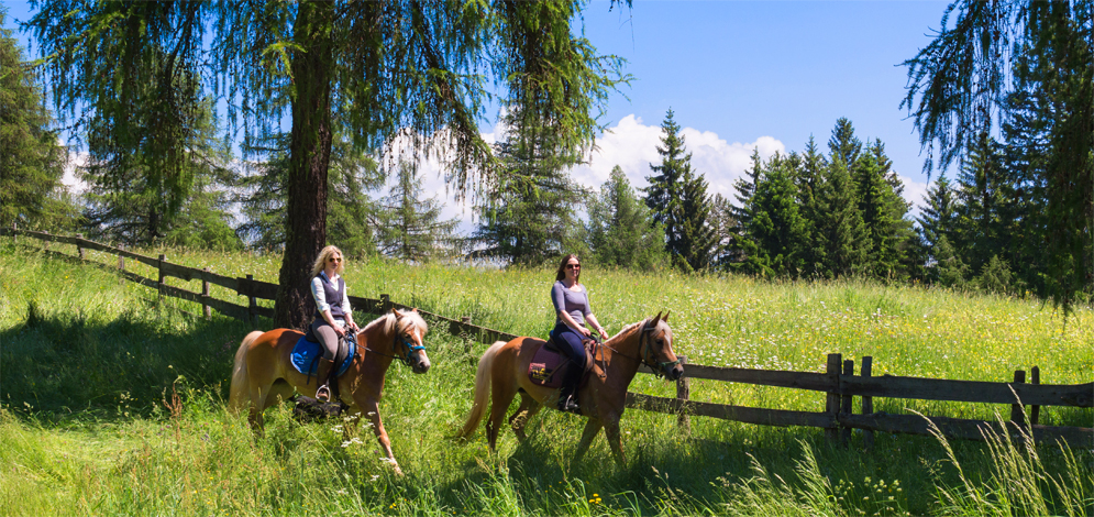 horse riding San Genesio Monzoccolo Salto Bolzano