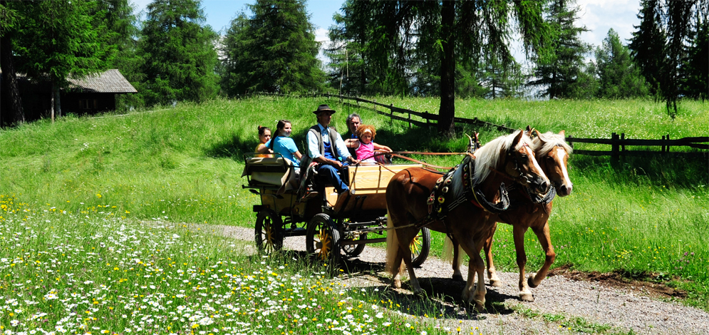 horse riding San Genesio Monzoccolo Salto Bolzano