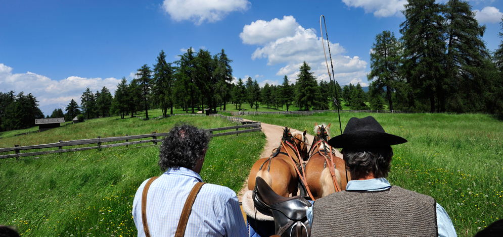 horse riding San Genesio Monzoccolo Salto Bolzano