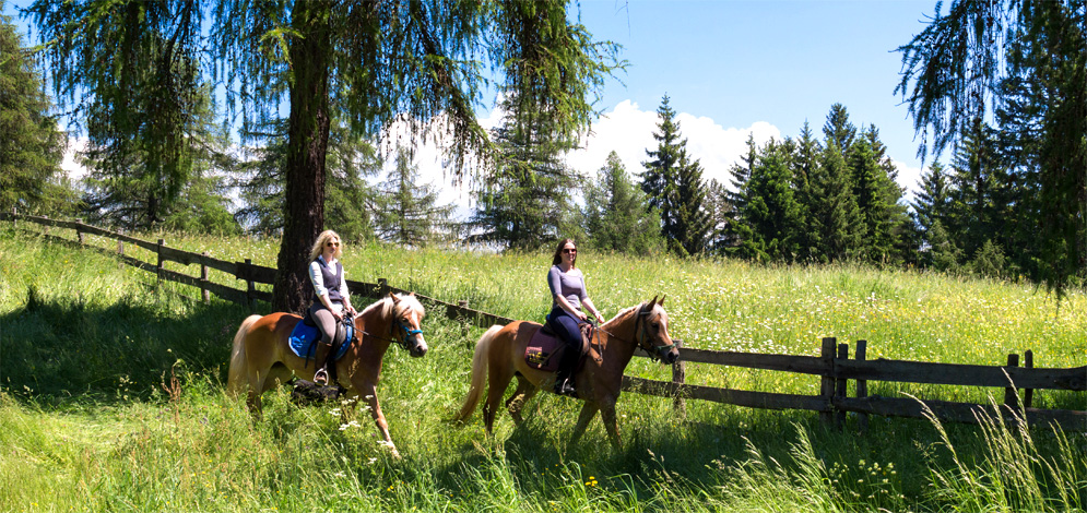 Summer hiking San Genesio Alto Adige mountain Bolzano