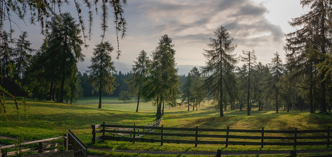 Salten Jenesien Tschögglberg Bozen Erholung Ausblick