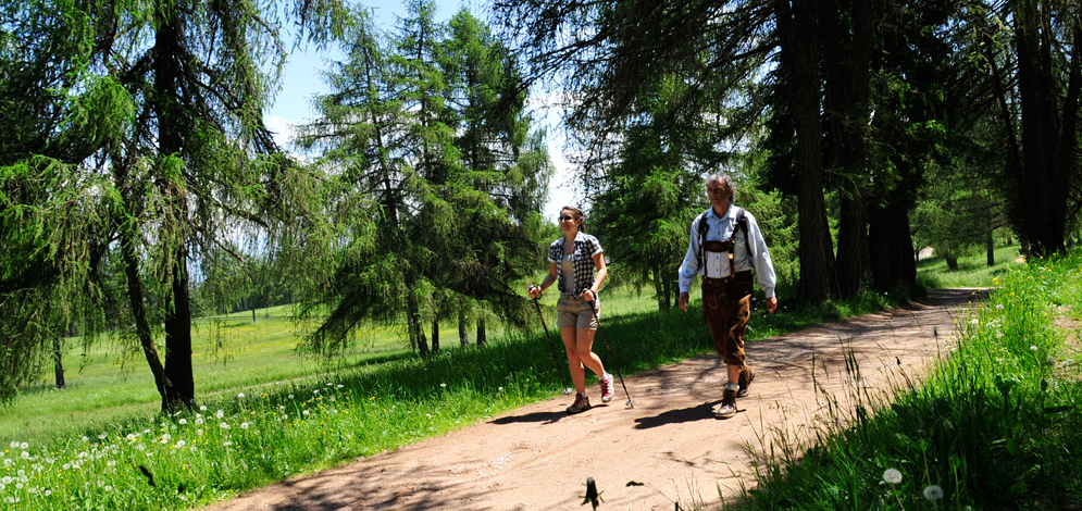 Hiking hotel, San Genesio Hiking