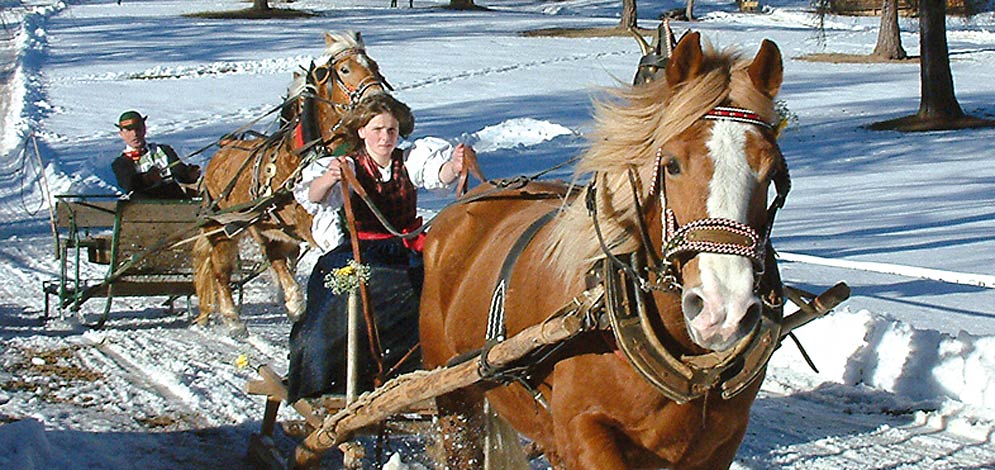 Holidays winter horse-drawn sleigh rides Salto San Genesio