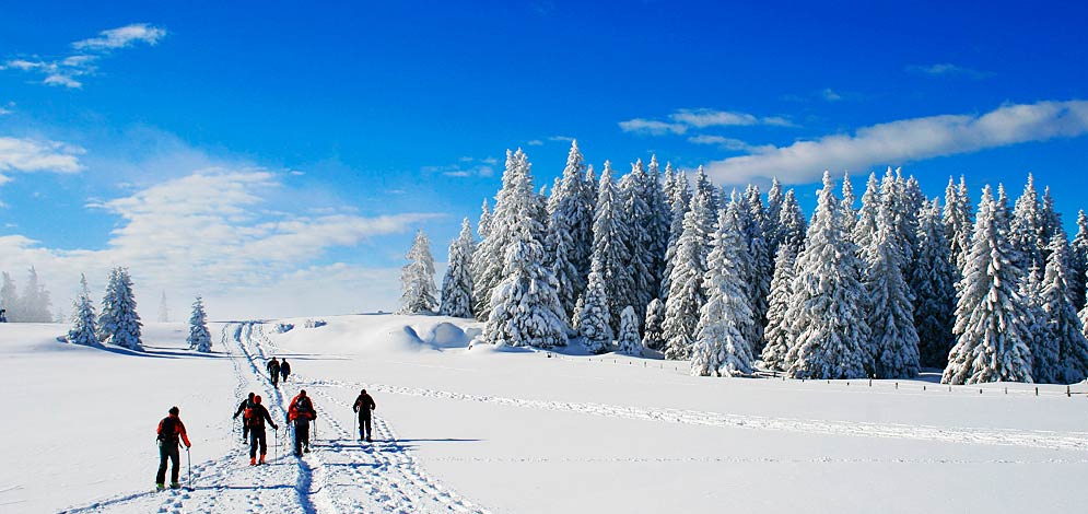 Schneeschuhwandern Winter Jenesien Salten Winterurlaub
