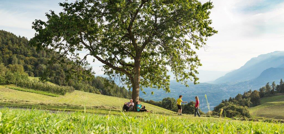 Summer hiking San Genesio Alto Adige mountain Bolzano